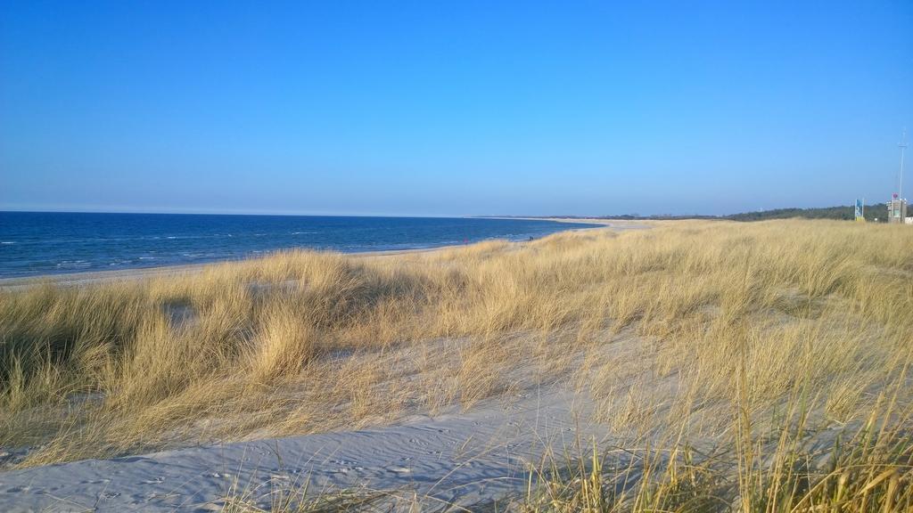 Ostsee Ferienappartements Dierhagen-Strand klein&fein Exterior foto